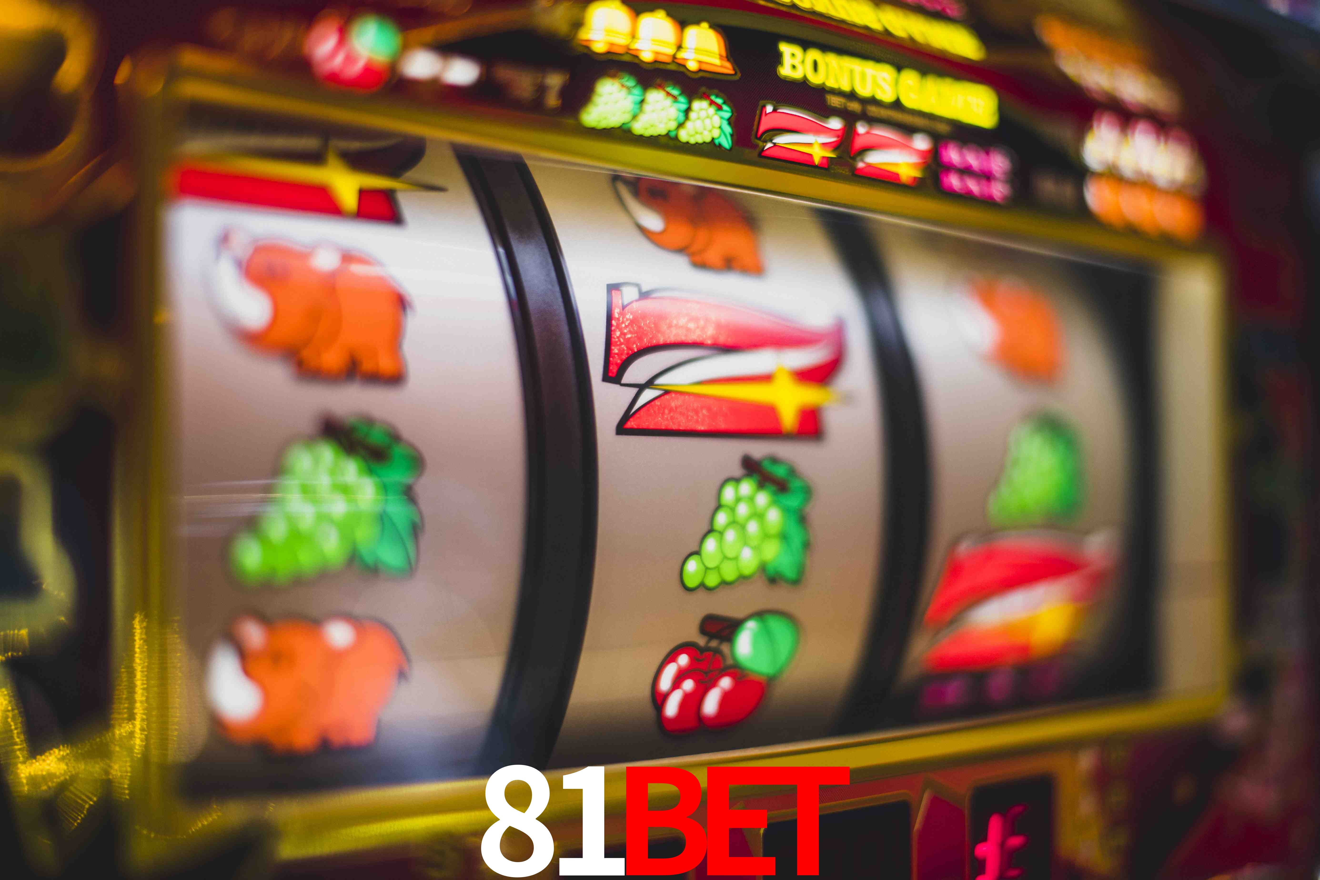 Sports Statistics 81bet